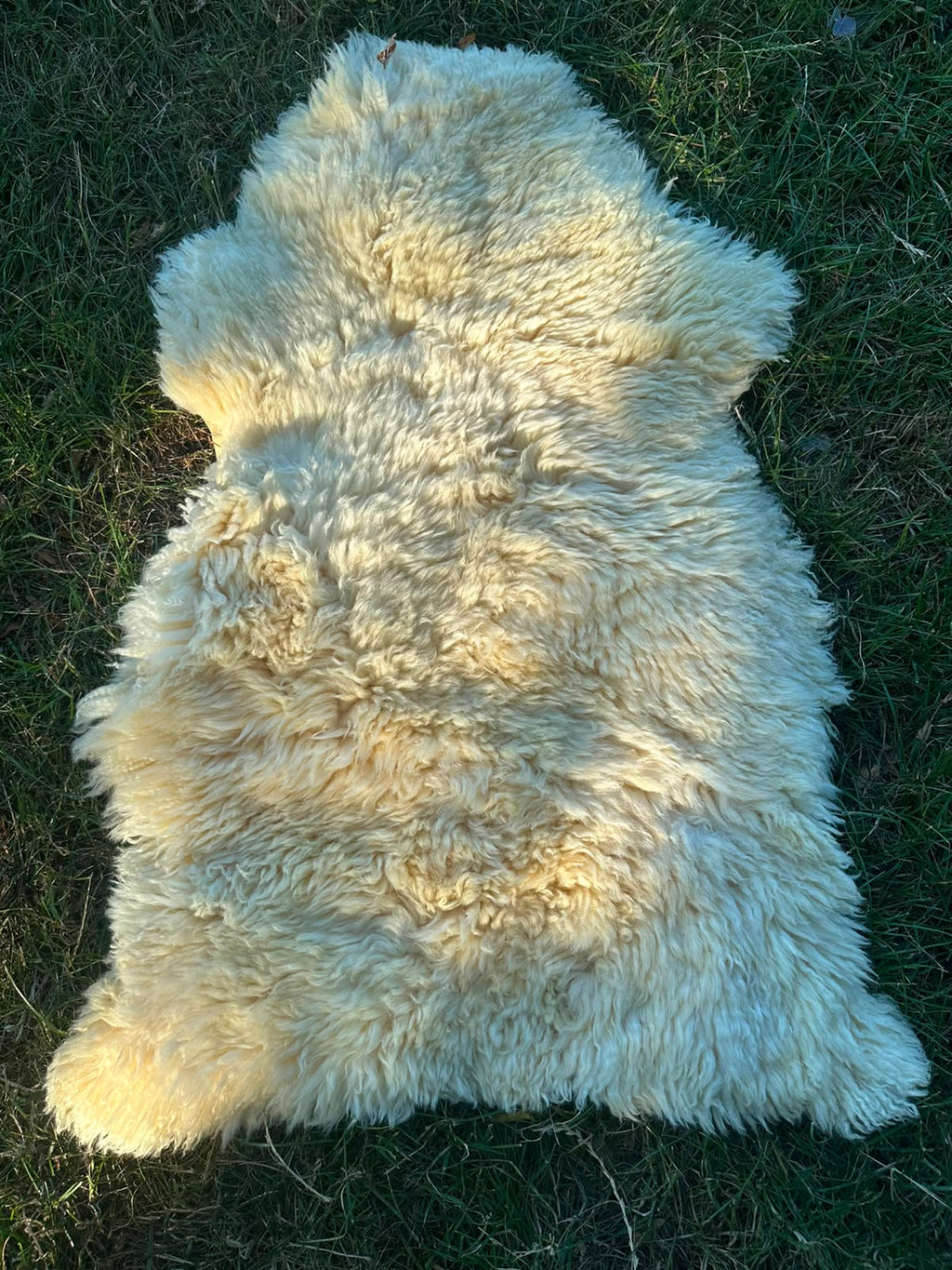 Genuine Sheepskin Rug – Natural Cream Real Sheep Skin Rug UK