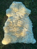 Genuine Sheepskin Rug – Natural Cream Real Sheep Skin Rug UK