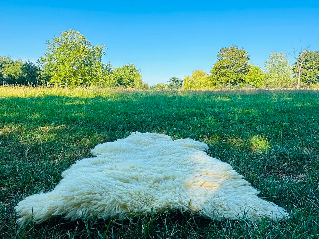 Genuine Sheepskin Rug – Natural Cream Real Sheep Skin Rug UK