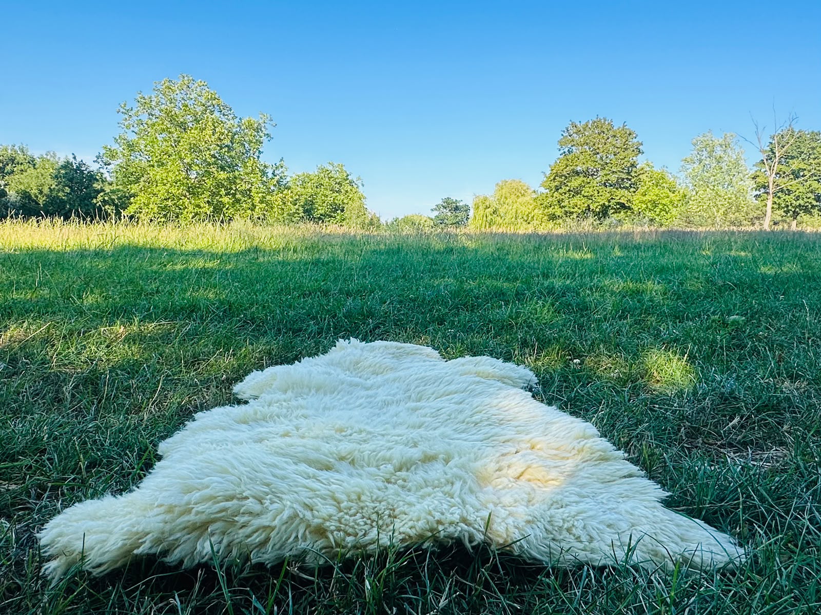 Genuine Sheepskin Rug – Natural Cream Real Sheep Skin Rug UK